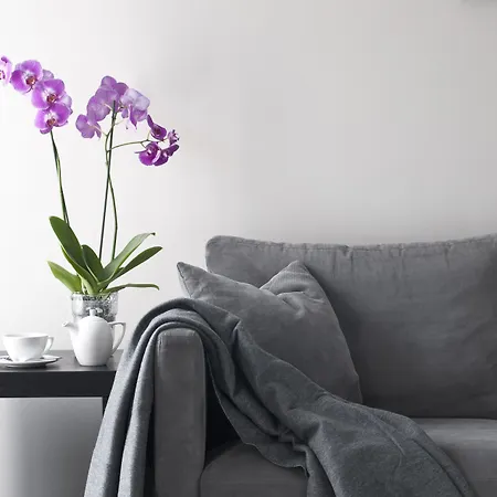 Malta Premium 3* Poznań