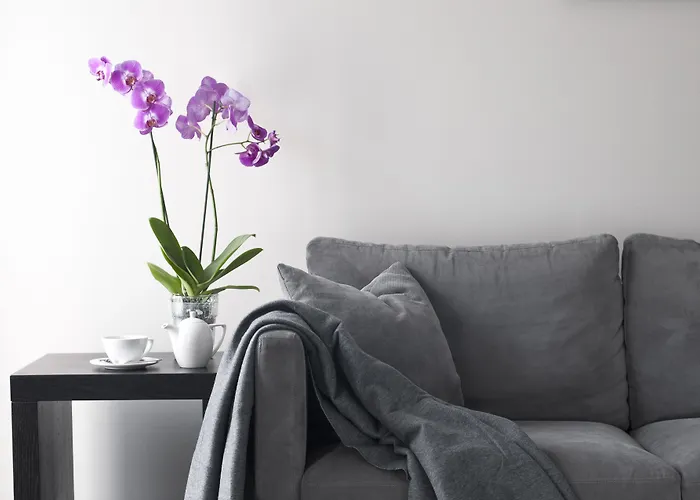 Malta Premium 3* Poznań