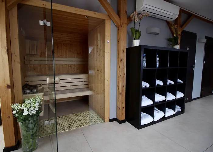 ホテル Malta Premium ポズナン